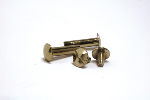 Nickel Plated Binding Screws 35