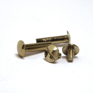 Nickel Plated Binding Screws 55