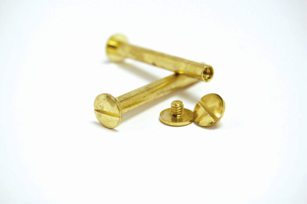 Brass Plated Binding Screws 90