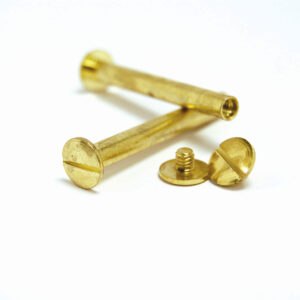 Brass Plated Binding Screws 100